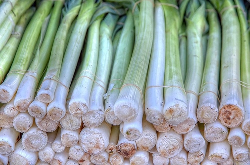 Leeks Images
