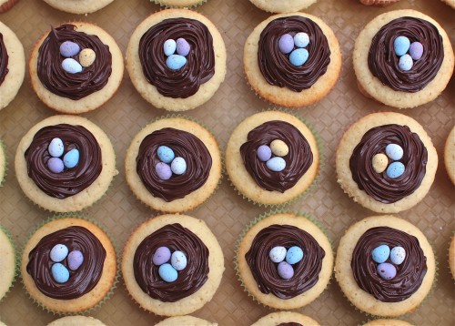 easter cupcakes recipes for kids. Lightly grease the cupcake