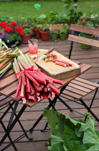 Rhubarb Bundle on patio