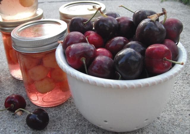 Thumbnail image for Canning 101: Sweet Cherries for Winter Days