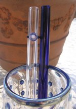 bluesmoothiepair1