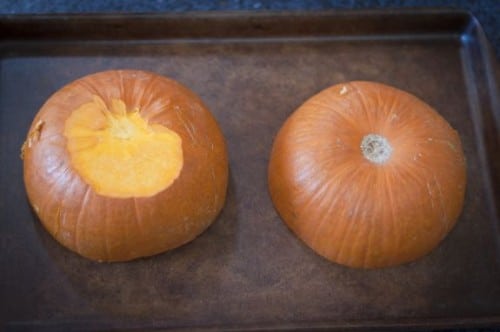 roasted pumpkin