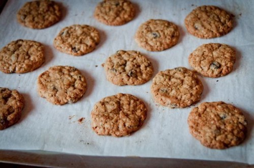 oatmeal cookies