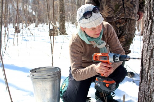 aimee tapping tree for sap