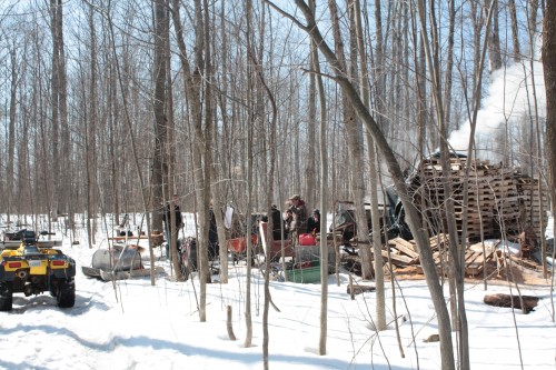 sugaring off camp