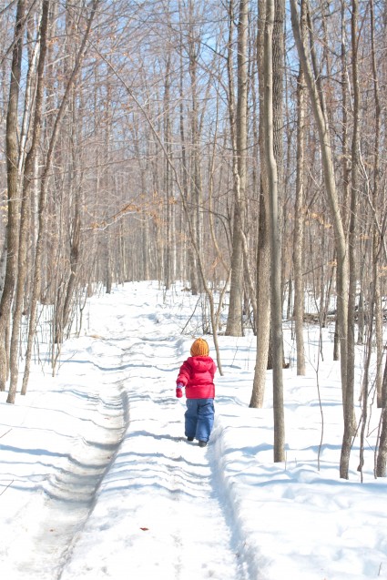noah on path