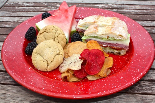picnic plate