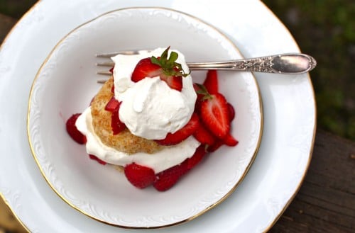 strawberries & cream shortcake