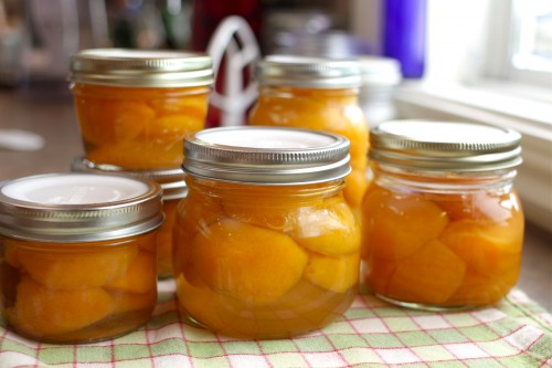 canned apricots