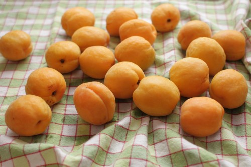 whole apricots