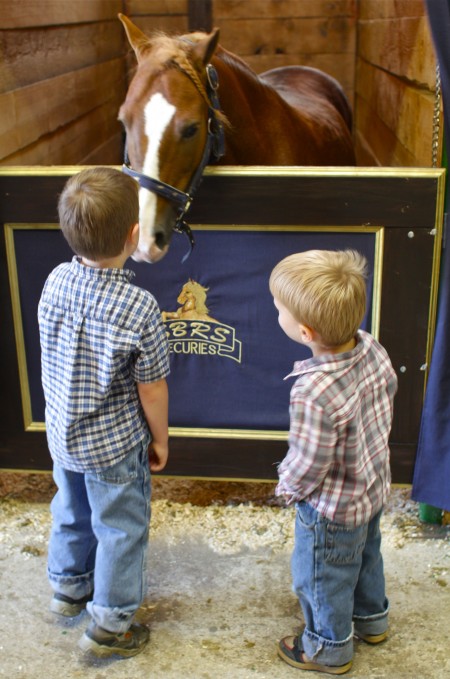 boys and horse