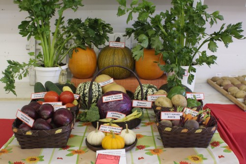 vegetables fall fair