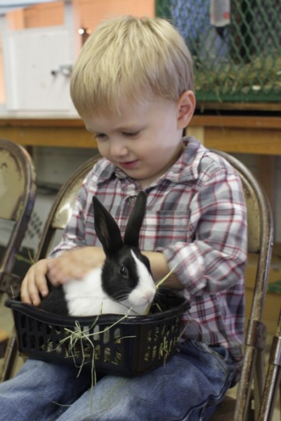 Mateo & bunny