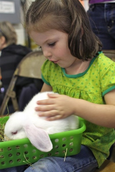 L and bunny