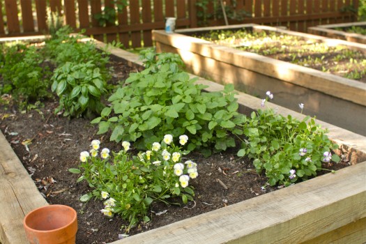 How to build raised garden beds | Simple Bites