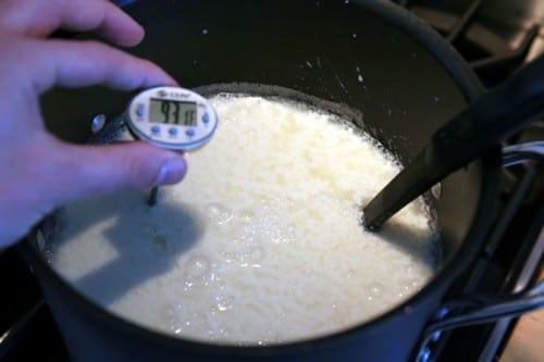 how-to-make-mozzarella-2-curdling