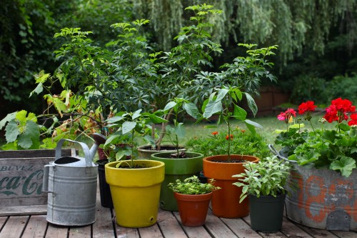 potted garden
