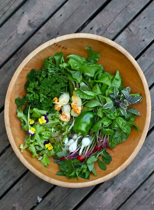 salad bowl
