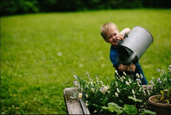Mateo Garden