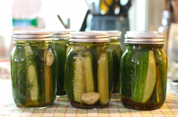 homemade garlic pickles
