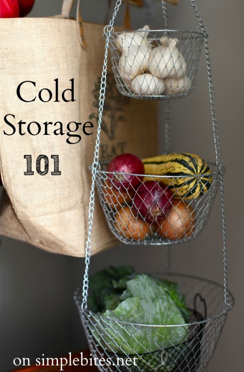 cold storage 101