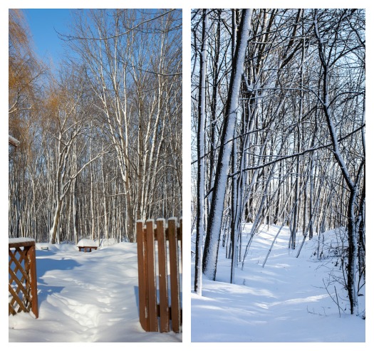 snow collage