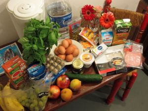 our-first-grocery-shopping-trip
