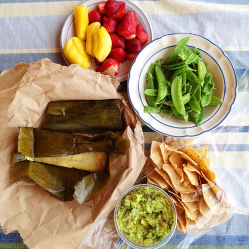 Mexican market picnic