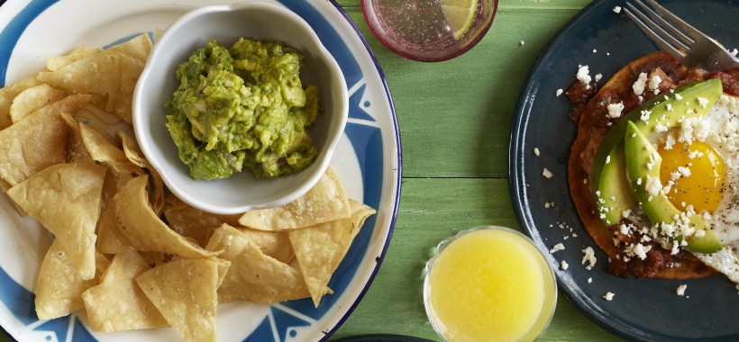 Avocado header