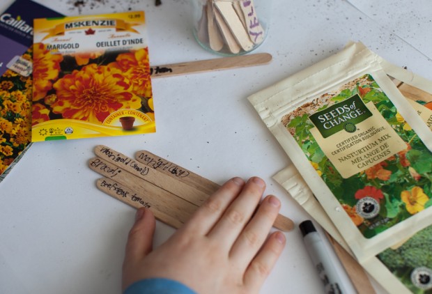 Sowing seeds | Simple Bites