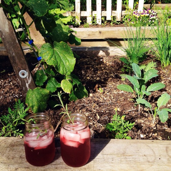 Drinks in the garden